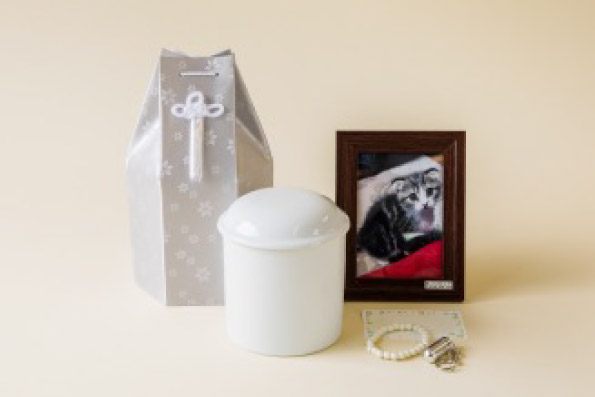 ペットのご葬儀 最短ご対応即日可能です