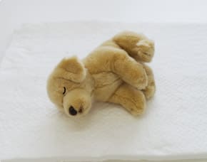 価格を抑えながらも、しっかりとお見送りを行うスタンダートなプランです。