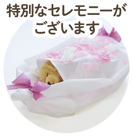 ペット火葬・ペット葬儀 こころみたすペット思い出セレモニー | (大阪・兵庫・京都・滋賀・奈良)