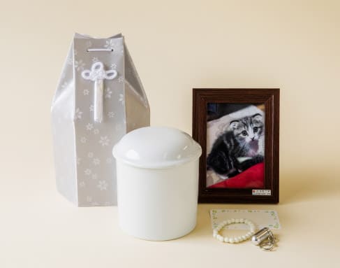 価格を抑えながらも、しっかりとお見送りを行うスタンダートなプランです。