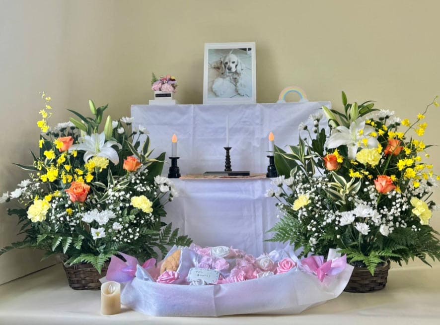 >ペットちゃんのお通夜セット