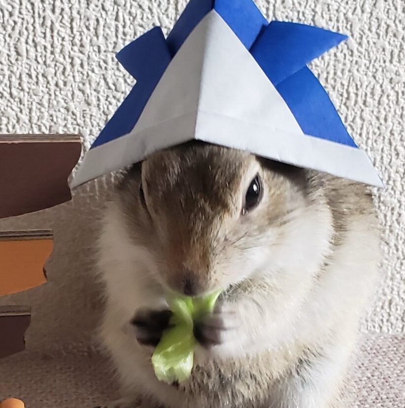 こころみたすペット思い出セレモニーにて葬儀したペットちゃん | レンくん