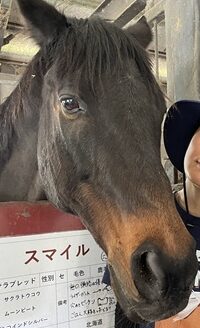 こころみたすペット思い出セレモニーにて葬儀したペットちゃん | スマイルくん