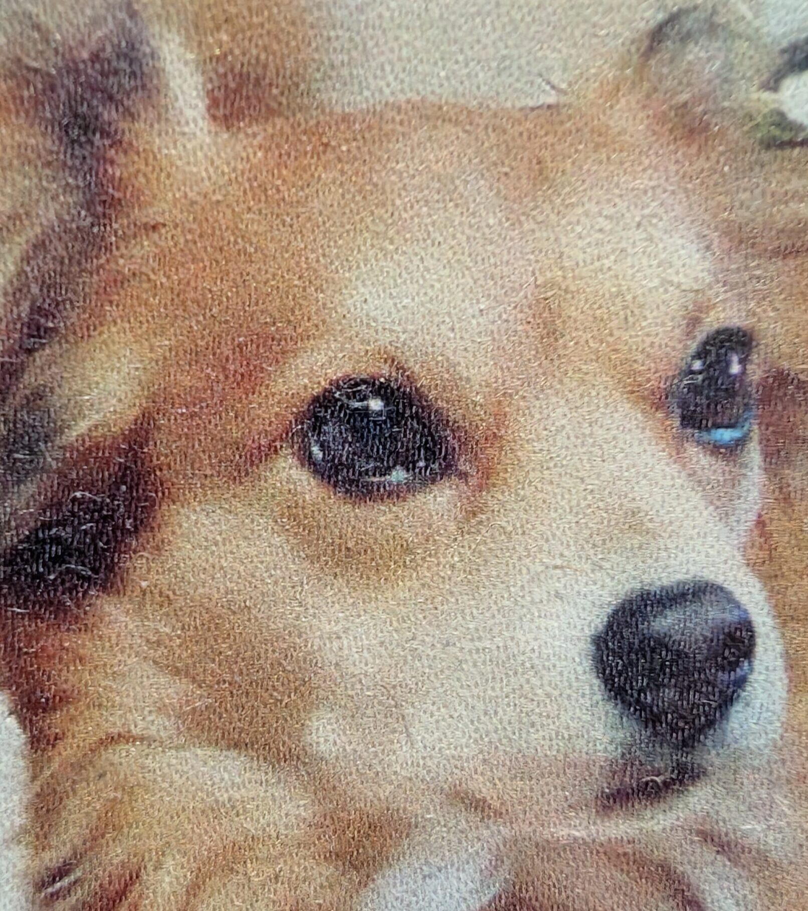 こころみたすペット思い出セレモニーにて葬儀したペットちゃん | ハッピーくん