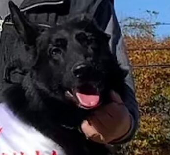 こころみたすペット思い出セレモニーにて葬儀したペットちゃん | 隆くん