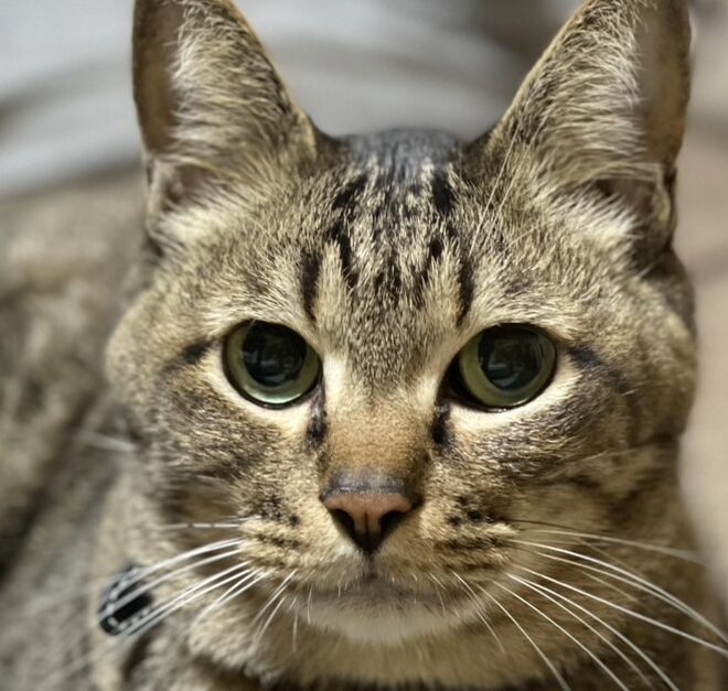 まりんくん | こころみたす ペット思い出セレモニー