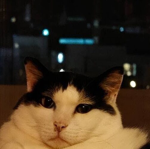 こころみたすペット思い出セレモニーにて葬儀したペットちゃん | 八兵衛くん