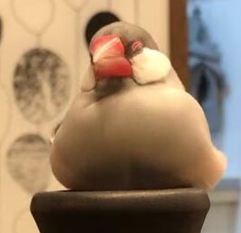 おぎんくん | こころみたす ペット思い出セレモニー