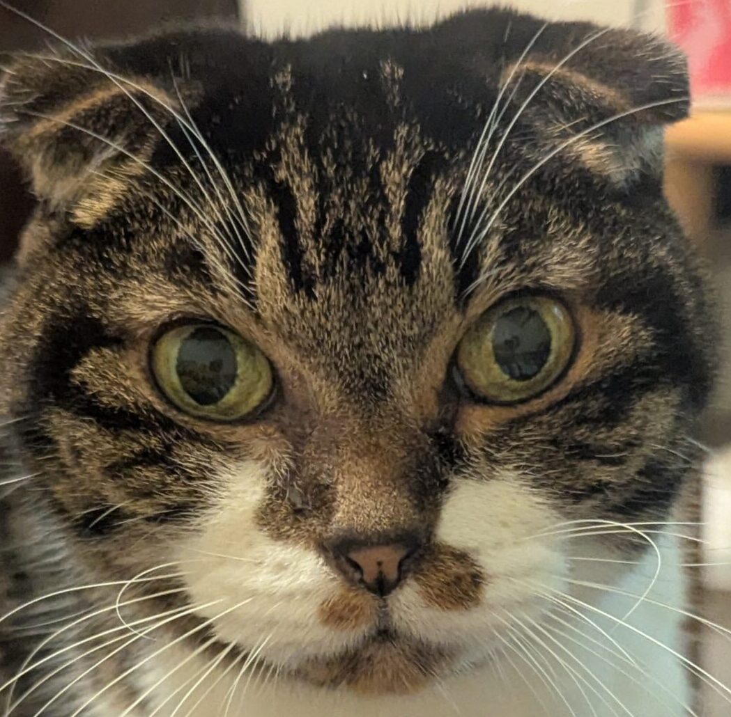 宗城くん | こころみたす ペット思い出セレモニー