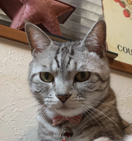 ちゃあくん | こころみたす ペット思い出セレモニー