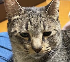 ちいちくん | こころみたす ペット思い出セレモニー