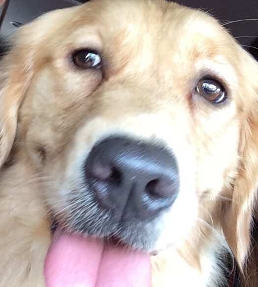 サリーちゃん | こころみたす ペット思い出セレモニー