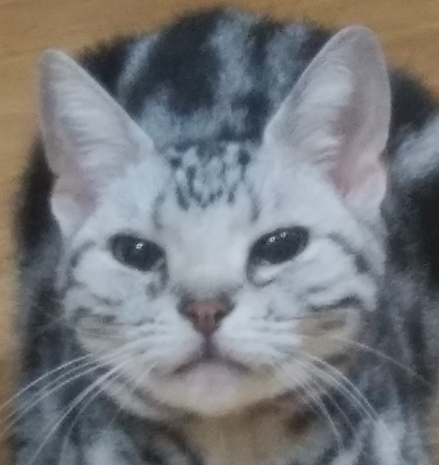 こころみたすペット思い出セレモニーにて葬儀したペットちゃん | ミルクちゃん