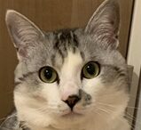 こころみたすペット思い出セレモニーにて葬儀したペットちゃん | ロコくん