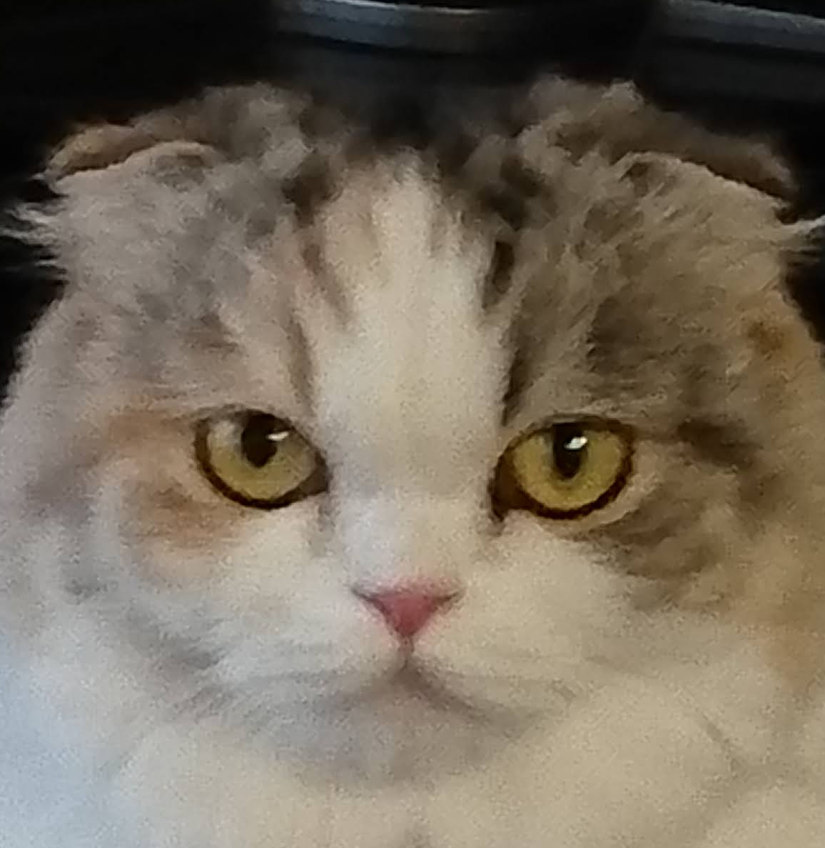 ティティちゃん