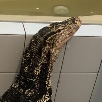 こころみたすペット思い出セレモニーにて葬儀したペットちゃん | テリーくん