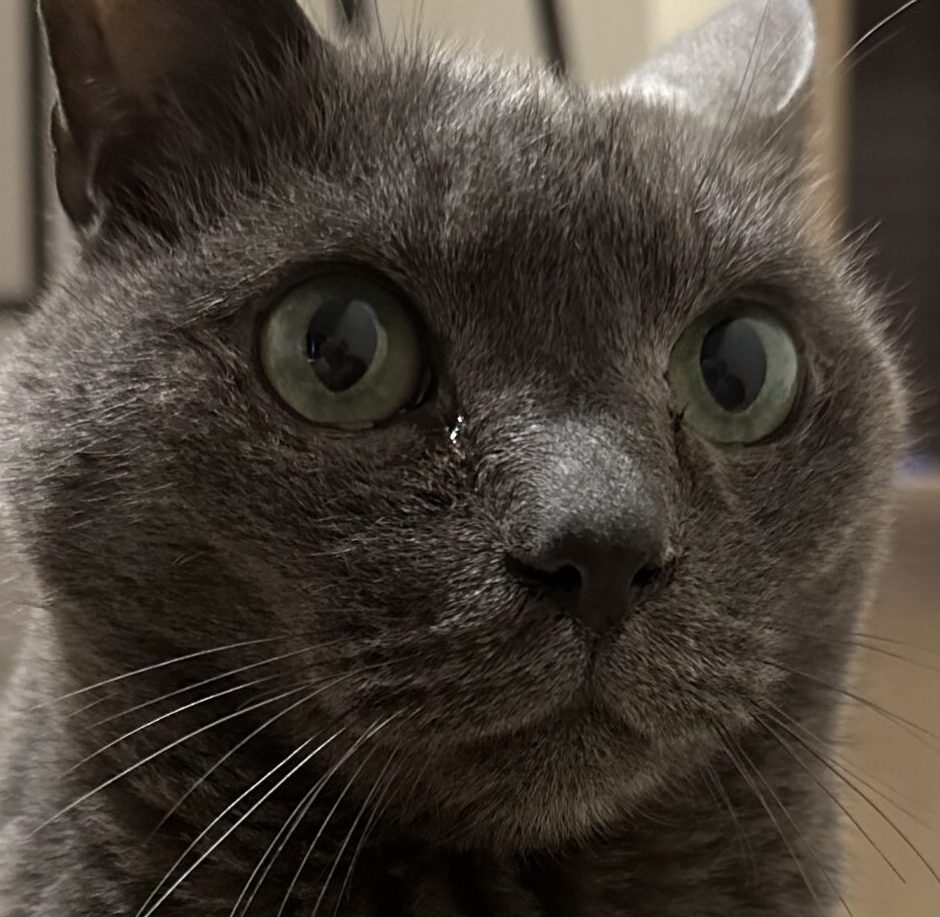 すなくん | こころみたす ペット思い出セレモニー