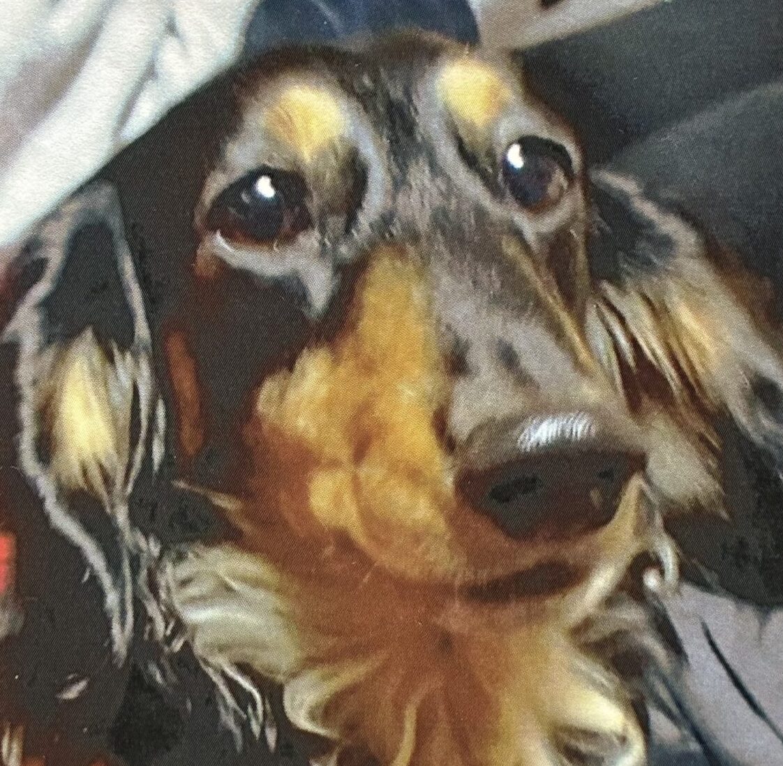 リリーちゃん | こころみたす ペット思い出セレモニー