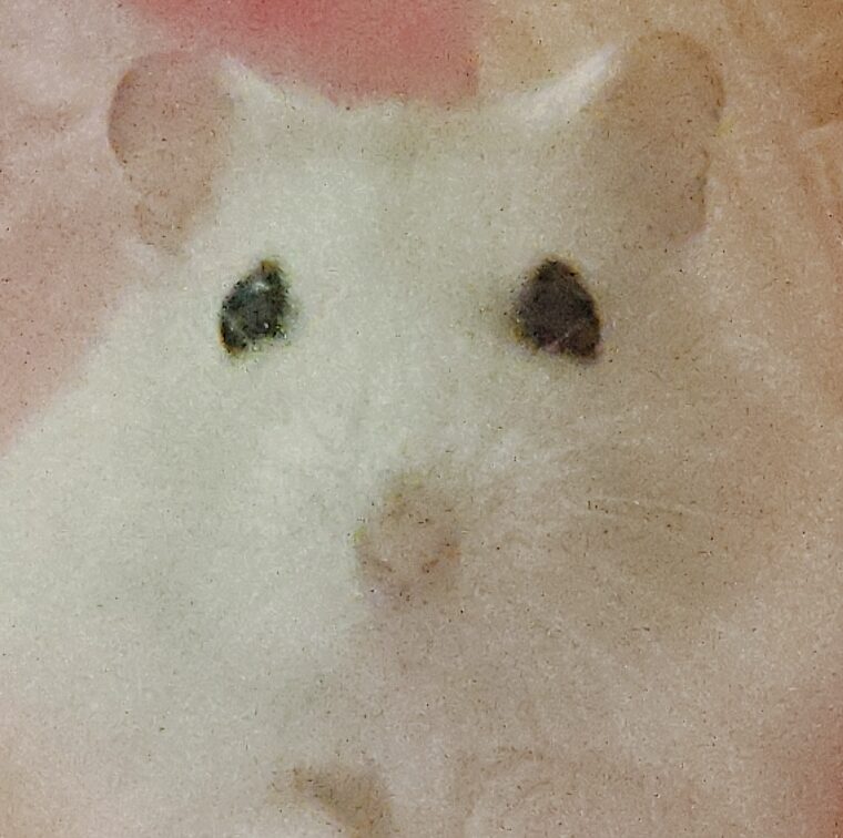 たいがくん | こころみたす ペット思い出セレモニー