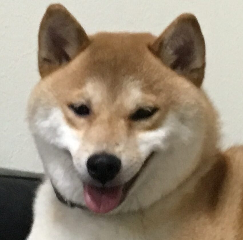 サンちゃん | こころみたす ペット思い出セレモニー