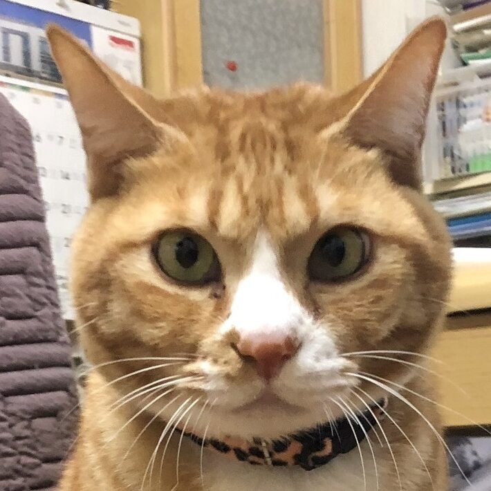 トラくん | こころみたす ペット思い出セレモニー